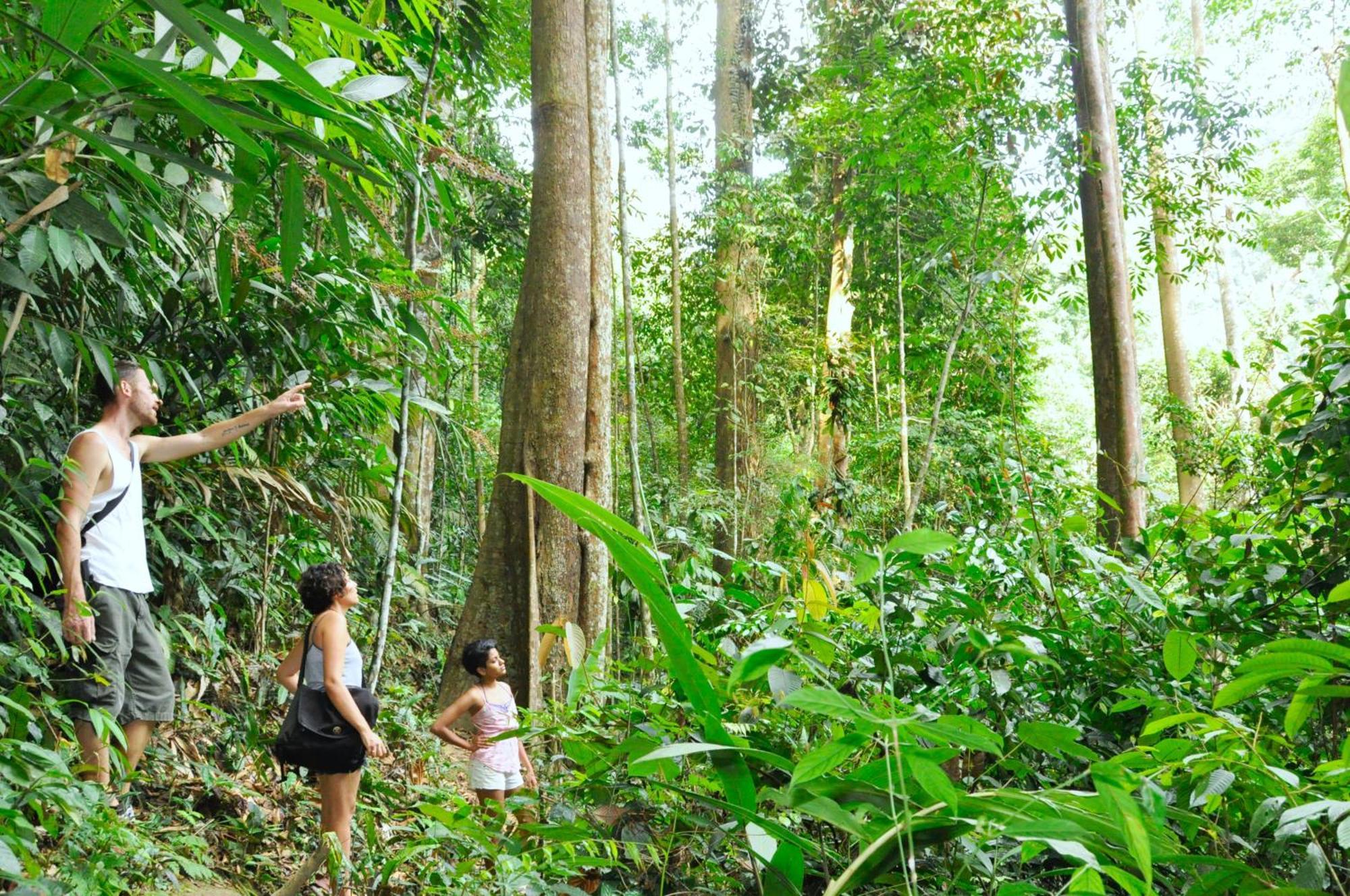 The Dusun Villa Seremban Dış mekan fotoğraf