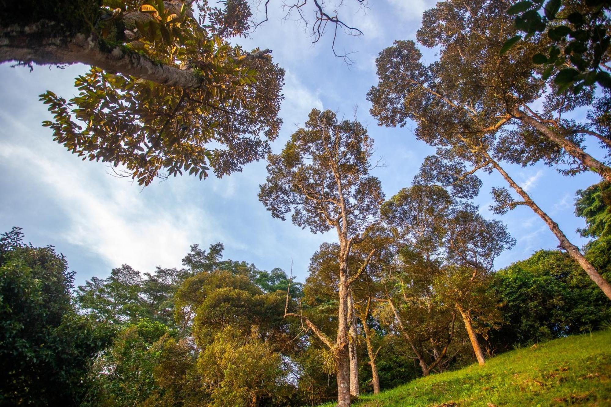 The Dusun Villa Seremban Dış mekan fotoğraf